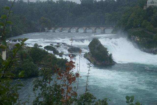 Blick auf die Rheinfälle – auch dafür lohnt es sich, kurz stehen zu bleiben. | Foto: privat