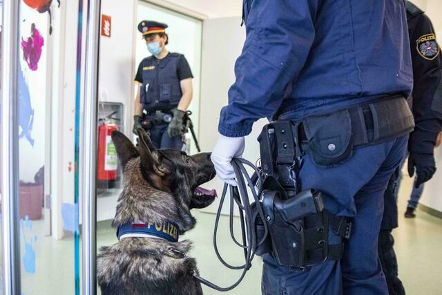 (Symbolbild) Das Gelände wird mit Spürhunden abgesucht. | Foto: LPD Wien