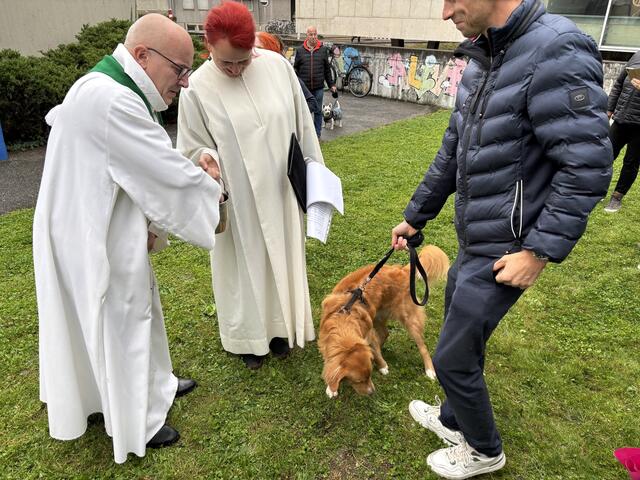 Foto: MeinBezirk