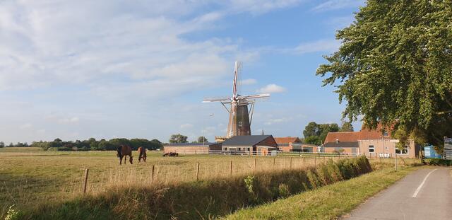 Diesen Anblick kennen alle, die schon mal in Holland waren! | Foto: privat