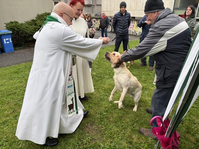 Auch Vinci, der Hund von Pfarrer Sacinski war bei der Segnung dabei. | Foto: MeinBezirk