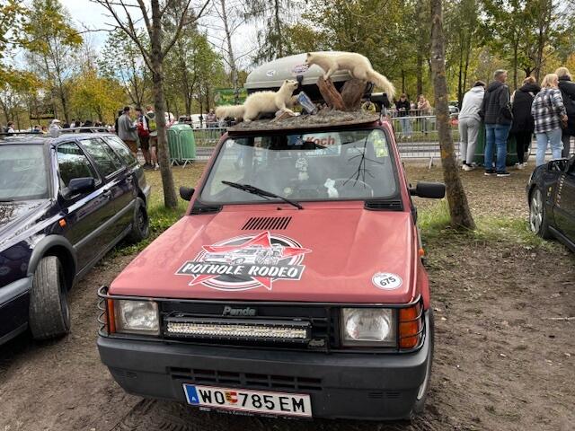 Was auf den Autos so alles zu finden war... | Foto: Almer