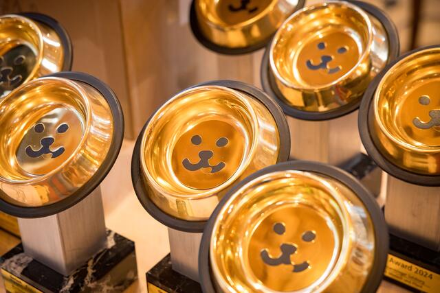 Die funkelnden goldenen Fressnäpfe gibt es zu dem Geldpreis dazu.  | Foto: Tierisch engagiert