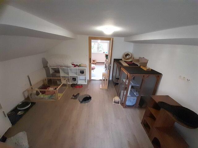 Foto: Tierschutzverein Libelle