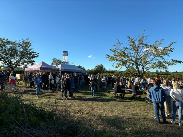 Foto: Lisa-Marie Zehetbauer