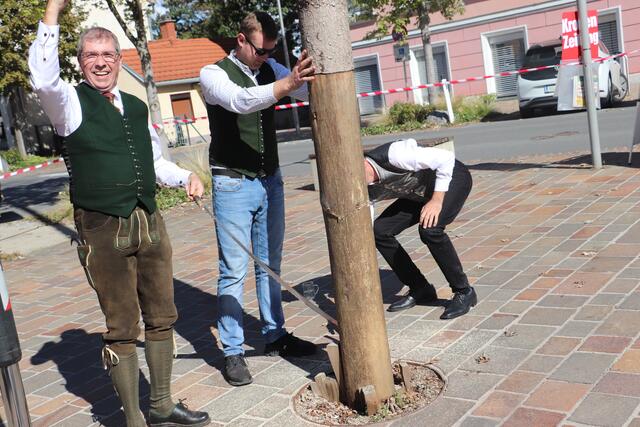 Geschafft! Mit dem letzten Ritsche-Ratsche glitt die Säge durch den Baum. Aus Sicherheitsgründen hob der Kran den Baum an und brachte ihn sorgsam zu Boden.  | Foto: Edith Ertl