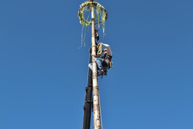 Bevor es an die Säge ging, sicherten Patrick und Daniel Füller den Maibaum. | Foto: Edith Ertl