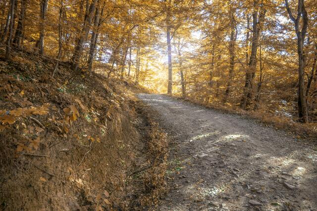 Weit und breit keine Autos. Diese Ruhe. Einfach herrlich. | Foto: Gerald Lang Photography