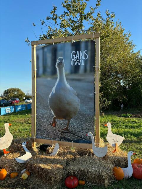 Beim Gans Burgenland in Oggau strömten hunderte Besucherinnen und Besucher aus nah und fern herbei.  | Foto: Lisa-Marie Zehetbauer