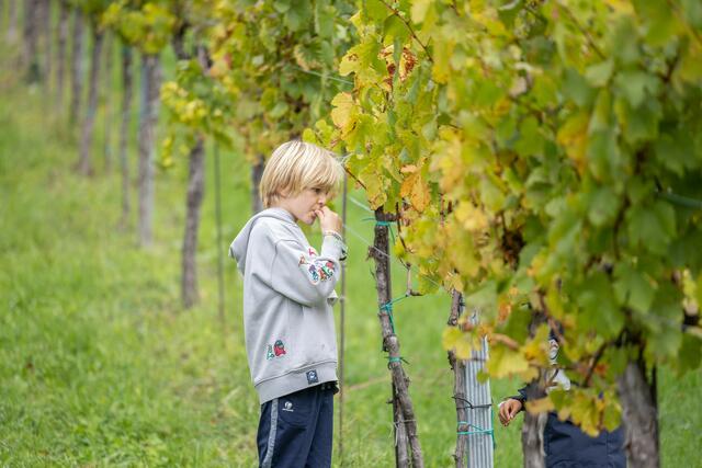 Foto: René Brunhölzl/MeinBezirk