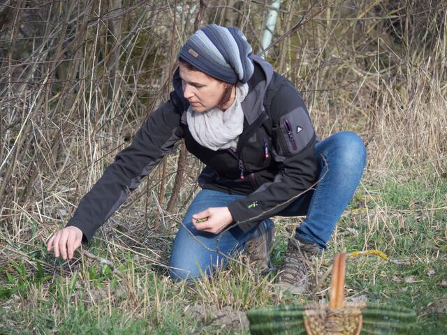 Ingrid Schmid ist passionierte Schwammerlsucherin. | Foto: Yoga-Garten