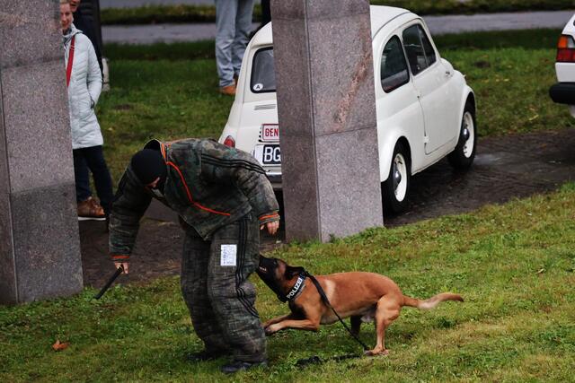 Foto: Maria Tiefenbacher-Schöndorfer, 2024