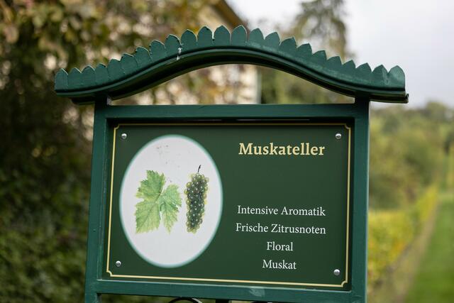 Foto: René Brunhölzl/MeinBezirk