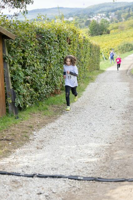 Foto: René Brunhölzl/MeinBezirk