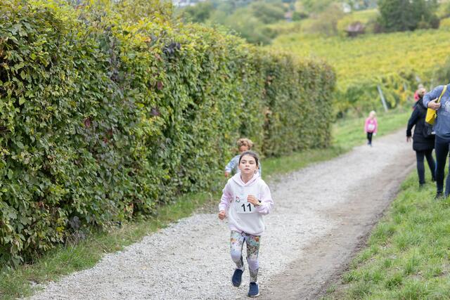 Foto: René Brunhölzl/MeinBezirk