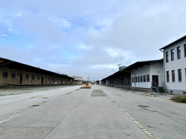 Foto: Marlene Graupner/MeinBezirk