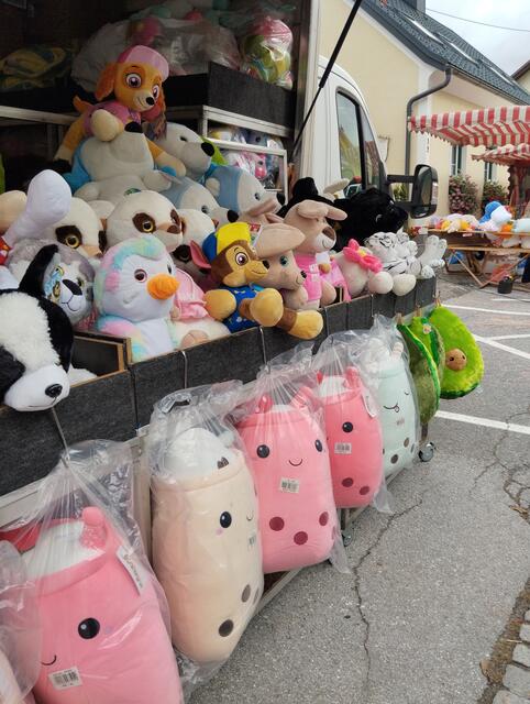 Foto: Veronika Frank