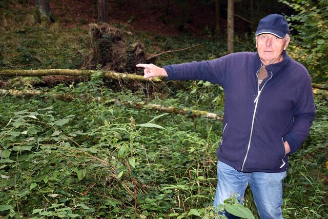 Foto: MeinBezirk Perg