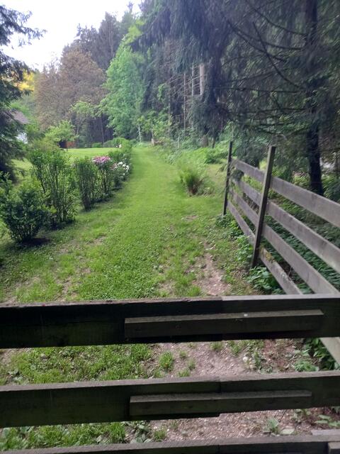 Foto: MeinBezirk Perg