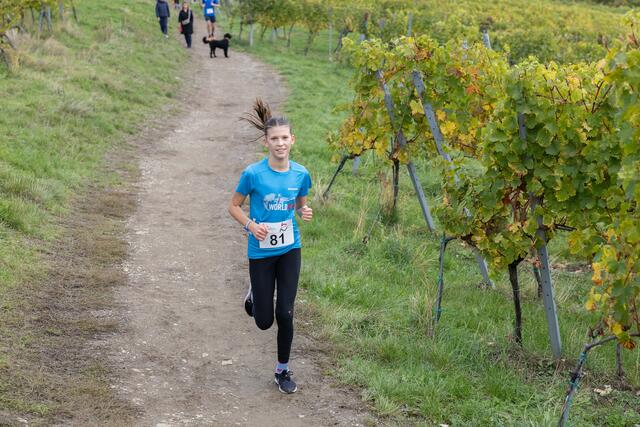 Foto: René Brunhölzl/MeinBezirk