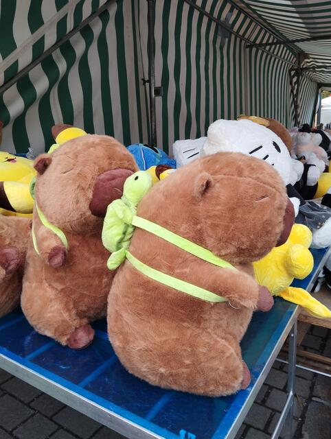 Foto: Veronika Frank