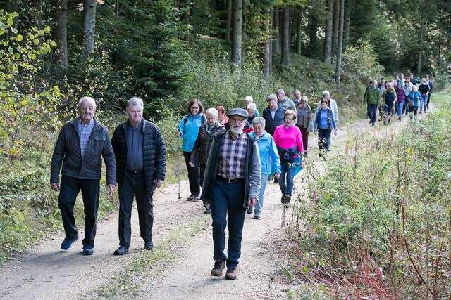 Visitation im Dekanat Grein: Fußwallfahrt zur Wallfahrtskirche Maria am Anger (Pfarre Dimbach).Pilgergruppe mit Bischof Manfred Scheuer (erste reihe Mitte) und Dekanatsassistent Josef Rathmaier (erste Reihe rechts).
 | Foto: Diözese Linz / Hermann Eletzhofer