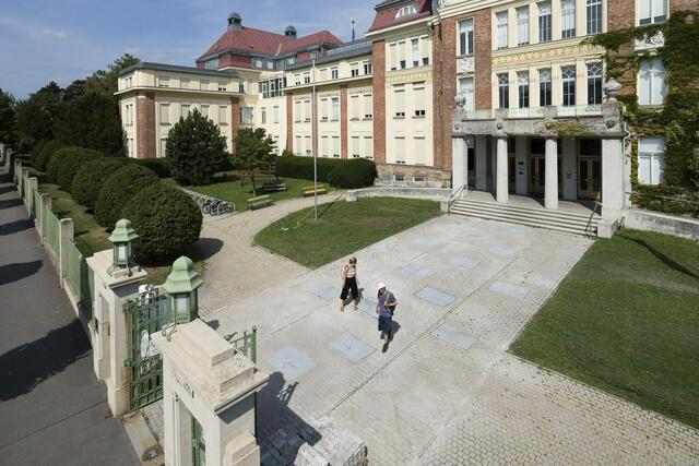 Edgar Honetschläger präsentiert sein Insektenmanifest Walk of Insects und die Initiative Go Bugs Go. Gemeinsam besichtigt man die prämierten Holzbauten Ilse Wallentin Haus (SWAP, 2020) und Türkenwirt (Baumschlager Hutter Partners, 2018). | Foto: Christoph Panzer