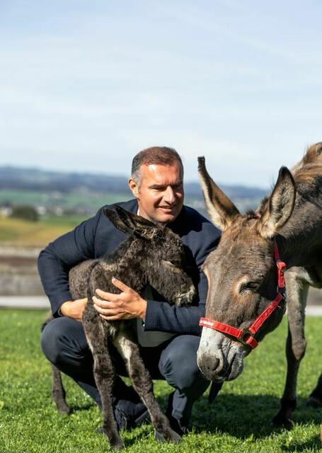 „Mama und Tochter freuen sich über Ihren Besuch im Eselhaus auf Gut Aiderbichl Henndorf,“ so Dieter Ehrengruber, Geschäftsführer und Stiftungsvorstand von Gut Aiderbichl. | Foto: Gut Aiderbichl