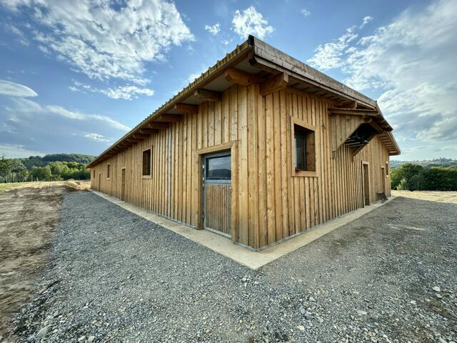 Das neue Zuhause der Tiger im Liska Animal Park Zoo in Rumänien.  | Foto: Gut Aiderbichl