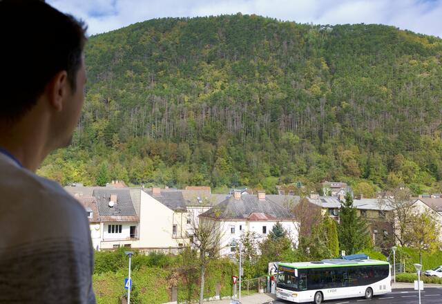 Ein kritischer Blick aus dem Bürgermeister-Büro zum Sorgenkind Schutzwald Silbersberg. | Foto: Santrucek