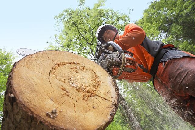 Der Kurs richtet sich an alle Waldbesitzer, die sich das Fachwissen für langfristige Waldplanung und die praktische Übung für sicheres Arbeiten im Wald aneignen möchten. | Foto: Lois Lammerhuber