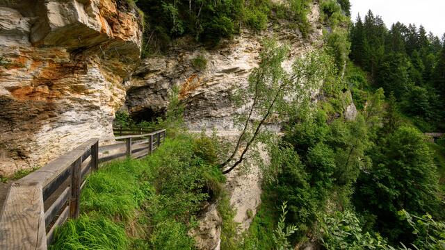 Gadaunerer Schlucht (Salzburg) | Foto: ORF/Manuel Marktl