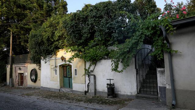 Stammersdorfer Kellergasse (Wien) | Foto: ORF/GuLa