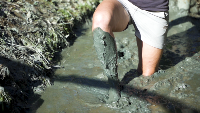 Foto: Hannes Gsellmann