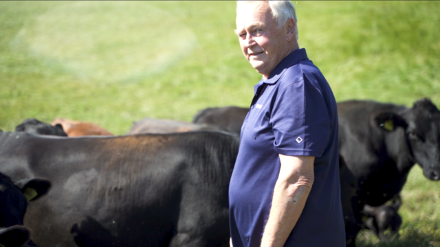 Foto: Hannes Gsellmann