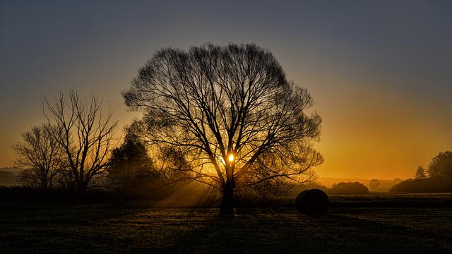 Foto: Verein "Rund ums Moor"
