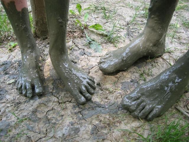 Foto: Verein "Rund ums Moor"