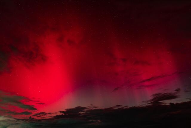 Starzing, Naarn | Foto: Thomas Lettner