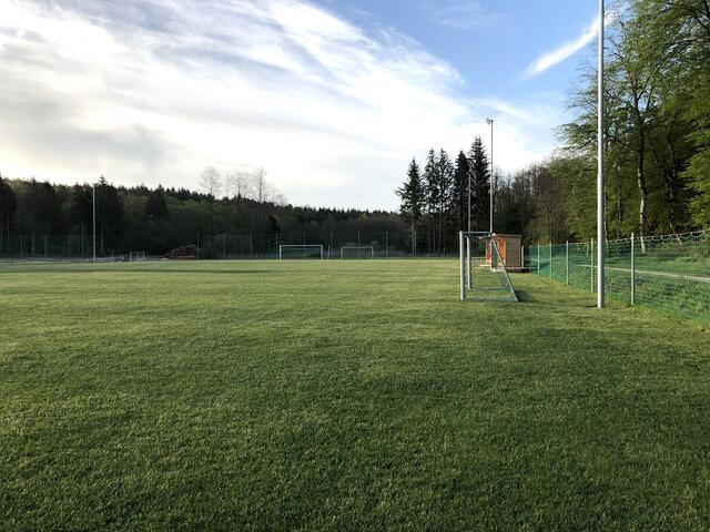 Entlang des Fußballplatzes des Nachwuchssportvereins Punitz sollen heuer die Zuschauersitzplätze überdacht werden. | Foto: Daniela Hummel