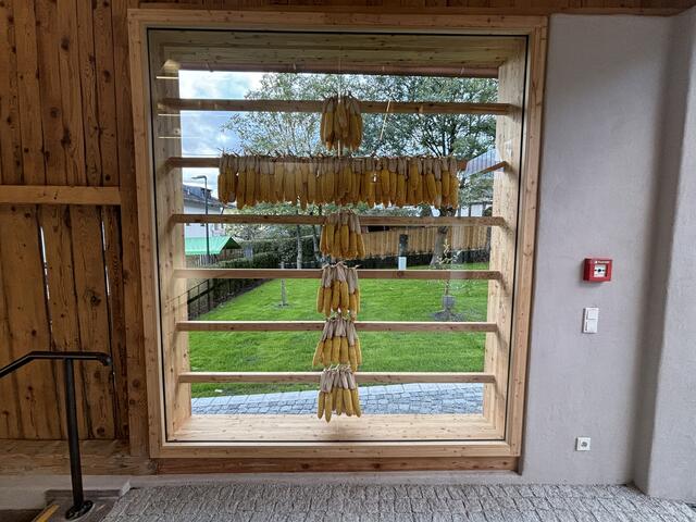 Foto: Kendlbacher