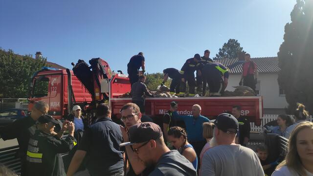 Foto: Loitfelder/"Miteinander in Münchendorf"