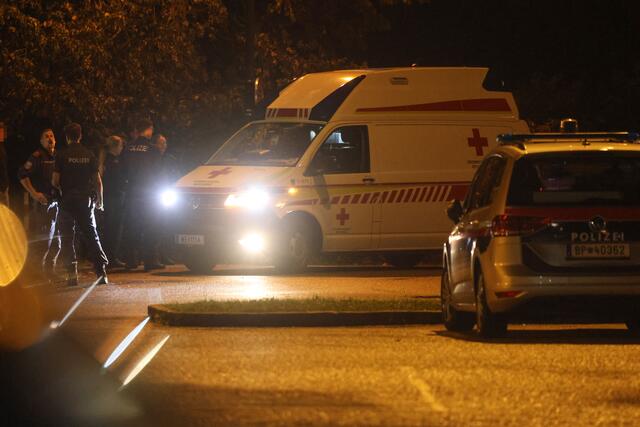 Polizei, Rotes Kreuz und Feuerwehr: Sie alle eilten zu einer vermeintlichen Gefahrensituation nach Wels-Lichtenegg, wo sich eine Person gerettete werden sollte. | Foto: laumat.at