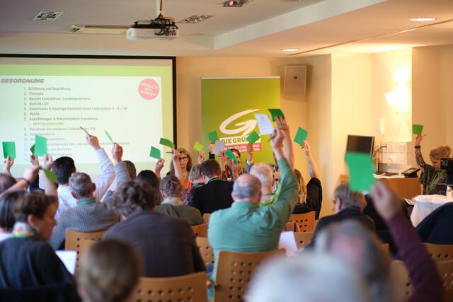 Die Grünen Burgenland stimmten sich in Bad Tatzmannsdorf auf die anstehende Landtagswahl ein.  | Foto: Grüne Burgenland