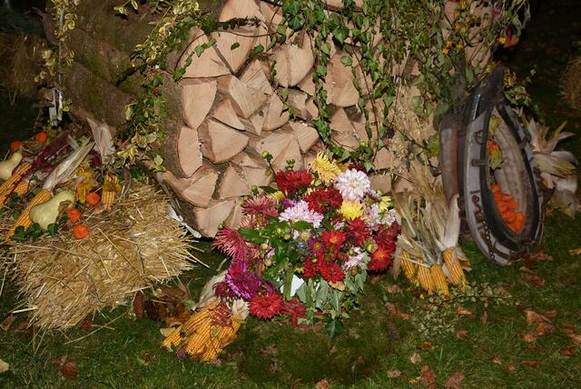 Foto: Robert Zinterhof