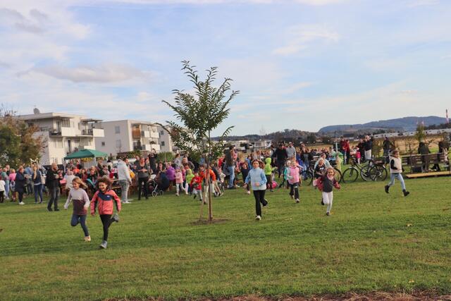 Jetzt geht's zum Nachbaracker. Dort erntete zuvor Gerhard Windisch seine Kartoffeln. Nicht wenige Erdäpfel ließ er liegen. Die Kinder hatten Spaß, ihre eigenen Erdäpfel zu klauben.  | Foto: Edith Ertl