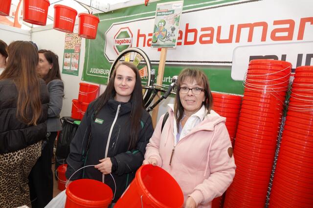 Foto: Michael Blinzer