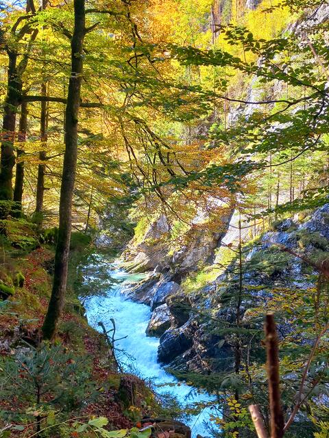 Wunderschön herbstlich gefärbte Flusslandschaft!