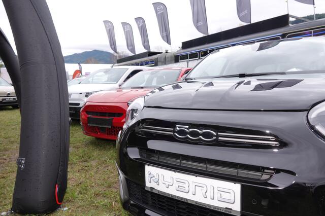 Foto: Michael Blinzer