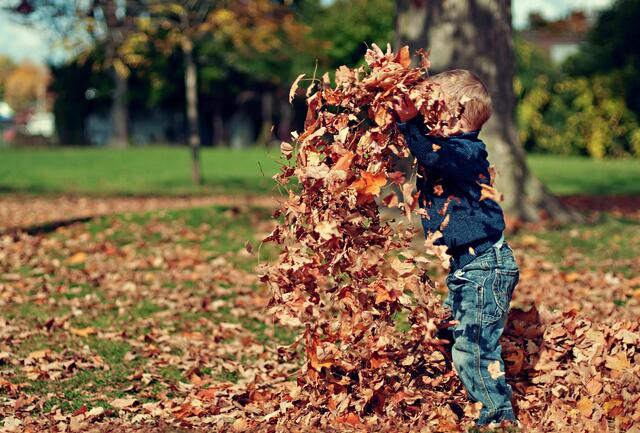 Zum Wochenstart herrschen angenehm-milde Wetterbedingungen in Wien. (Symbolbild) | Foto: unsplash.com / Scott Webb