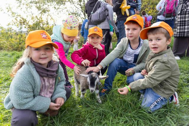 Beim Familienfest sorgte die Ziegenwanderung für große Begeisterung.  | Foto: AK Burgenland